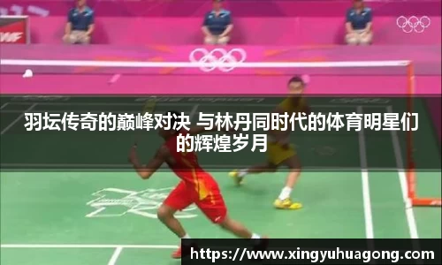 羽坛传奇的巅峰对决 与林丹同时代的体育明星们的辉煌岁月